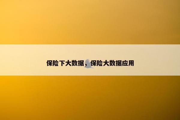 保险下大数据，保险大数据应用