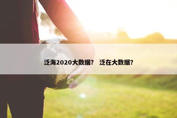 泛海2020大数据？ 泛在大数据？