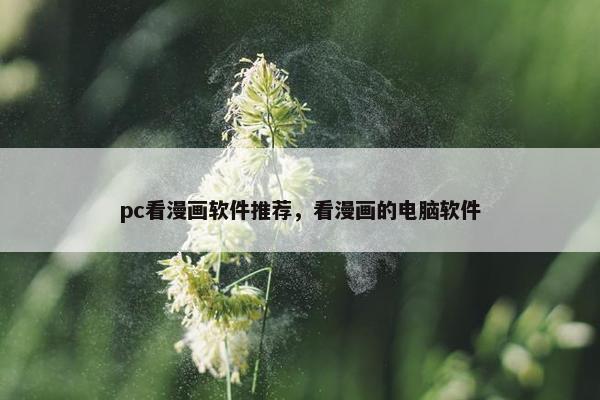 pc看漫画软件推荐，看漫画的电脑软件