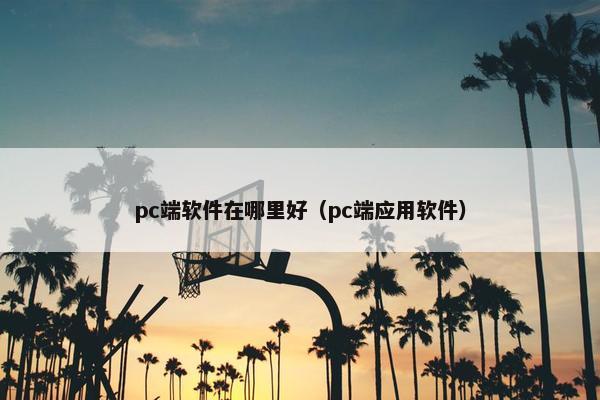 pc端软件在哪里好（pc端应用软件）