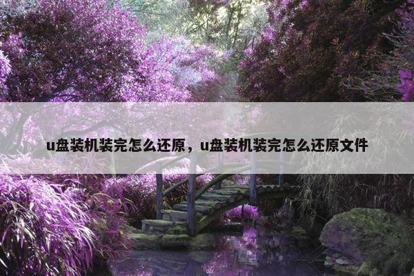 u盘装机装完怎么还原，u盘装机装完怎么还原文件