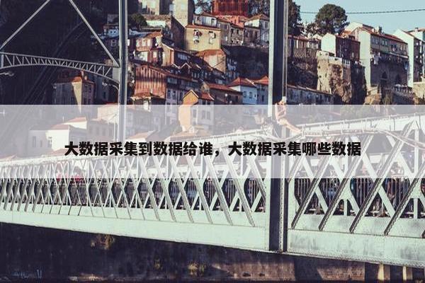 大数据采集到数据给谁，大数据采集哪些数据