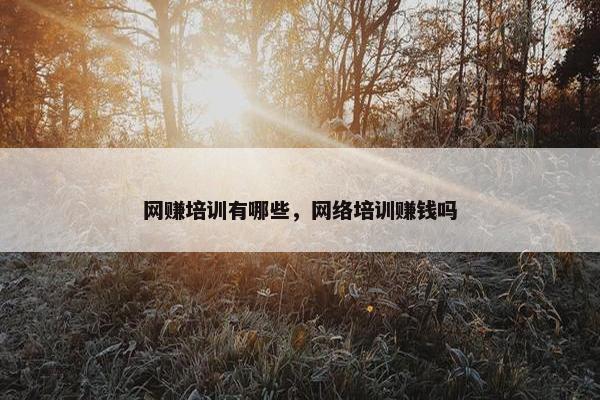 网赚培训有哪些，网络培训赚钱吗