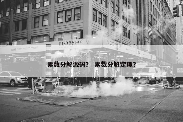 素数分解源码？ 素数分解定理？
