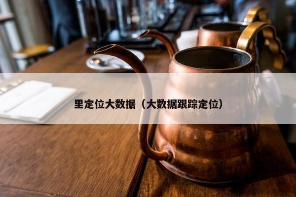 里定位大数据（大数据跟踪定位）