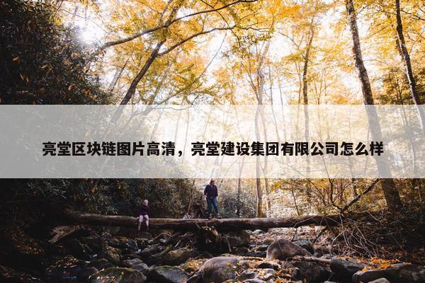 亮堂区块链图片高清，亮堂建设集团有限公司怎么样