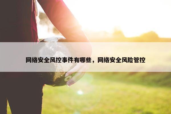 网络安全风控事件有哪些，网络安全风险管控