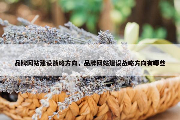 品牌网站建设战略方向，品牌网站建设战略方向有哪些