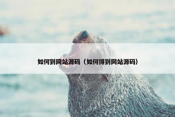 如何到网站源码（如何得到网站源码）