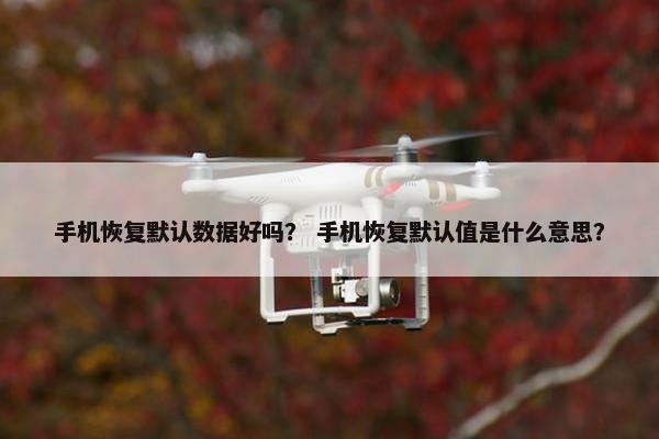 手机恢复默认数据好吗？ 手机恢复默认值是什么意思？