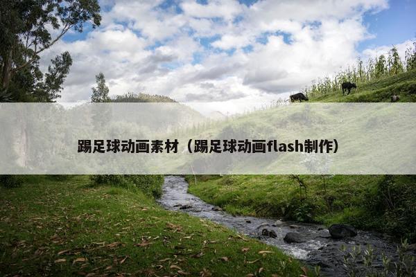 踢足球动画素材（踢足球动画flash制作）