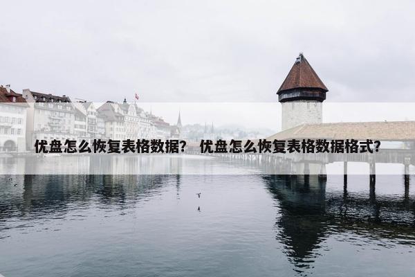 优盘怎么恢复表格数据？ 优盘怎么恢复表格数据格式？