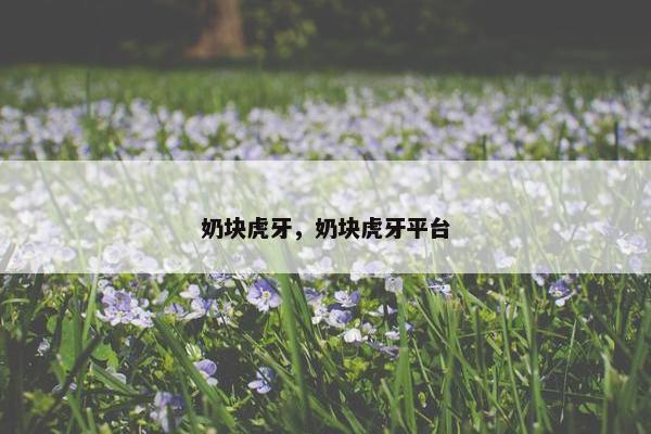 奶块虎牙，奶块虎牙平台