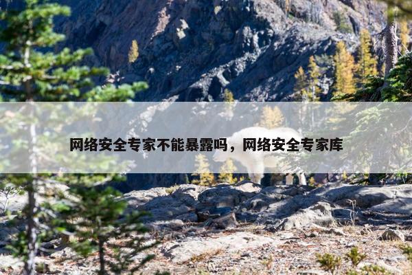 网络安全专家不能暴露吗，网络安全专家库