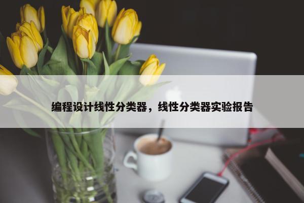 编程设计线性分类器，线性分类器实验报告