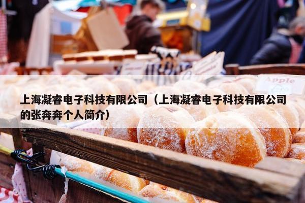 上海凝睿电子科技有限公司（上海凝睿电子科技有限公司的张奔奔个人简介）