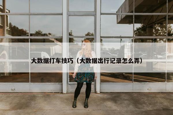 大数据打车技巧（大数据出行记录怎么弄）