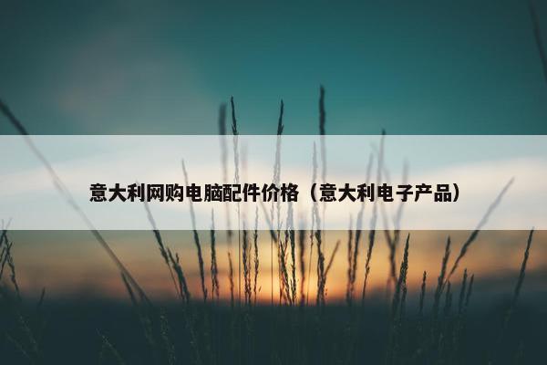 意大利网购电脑配件价格（意大利电子产品）