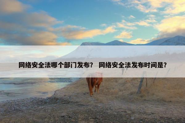 网络安全法哪个部门发布？ 网络安全法发布时间是？