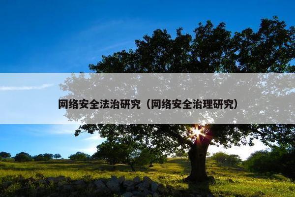 网络安全法治研究（网络安全治理研究）