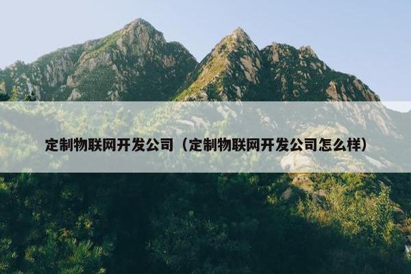 定制物联网开发公司（定制物联网开发公司怎么样）