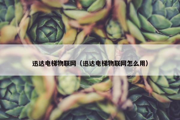 迅达电梯物联网（迅达电梯物联网怎么用）