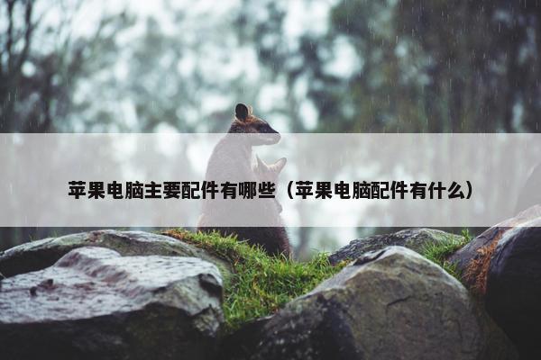 苹果电脑主要配件有哪些（苹果电脑配件有什么）