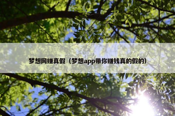 梦想网赚真假（梦想app带你赚钱真的假的）