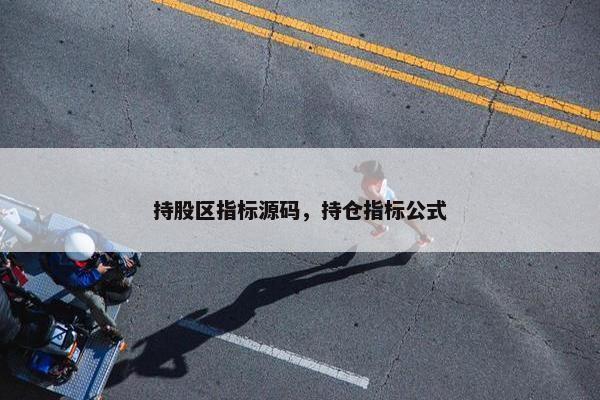 持股区指标源码，持仓指标公式