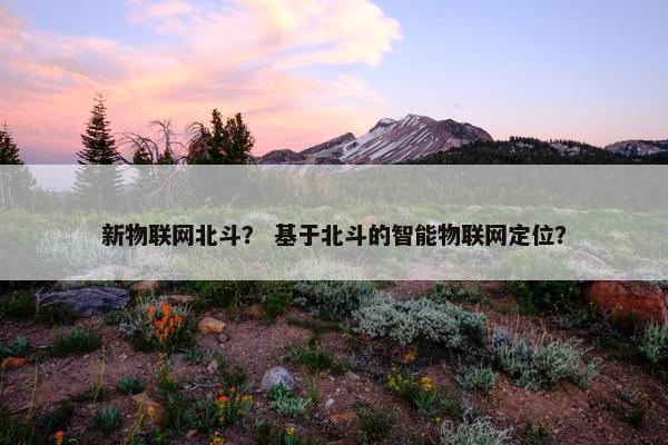 新物联网北斗？ 基于北斗的智能物联网定位？