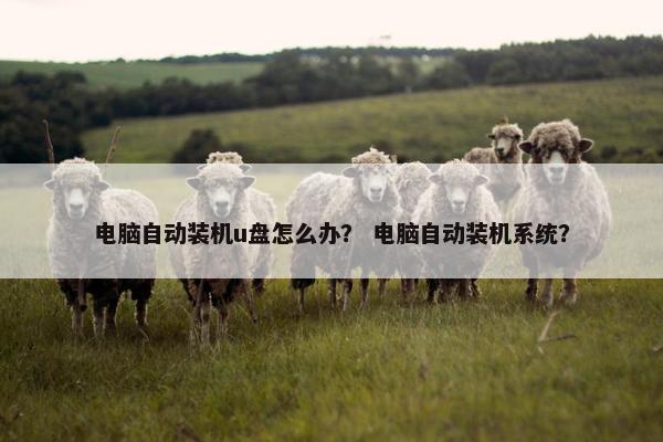 电脑自动装机u盘怎么办？ 电脑自动装机系统？