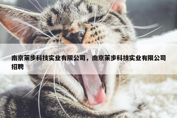 南京莱步科技实业有限公司，南京莱步科技实业有限公司招聘