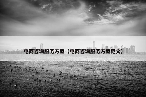 电商咨询服务方案（电商咨询服务方案范文）