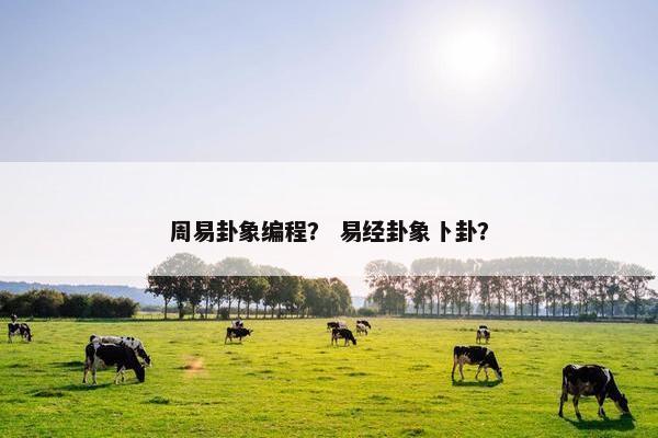 周易卦象编程？ 易经卦象卜卦？
