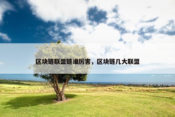 区块链联盟链谁厉害，区块链几大联盟