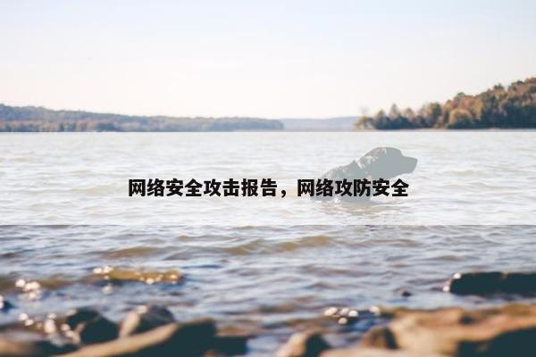 网络安全攻击报告，网络攻防安全