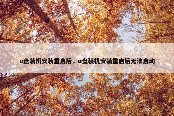 u盘装机安装重启后，u盘装机安装重启后无法启动
