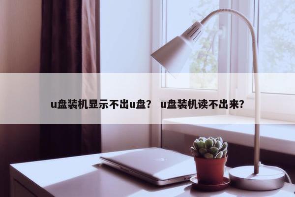 u盘装机显示不出u盘？ u盘装机读不出来？