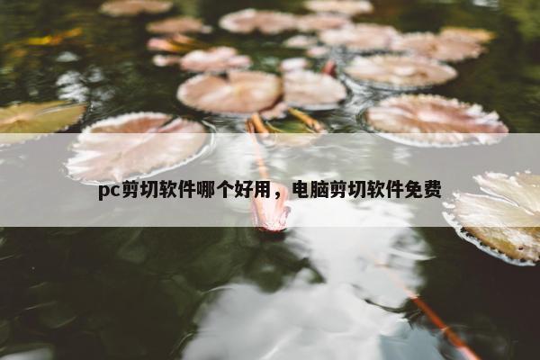 pc剪切软件哪个好用，电脑剪切软件免费