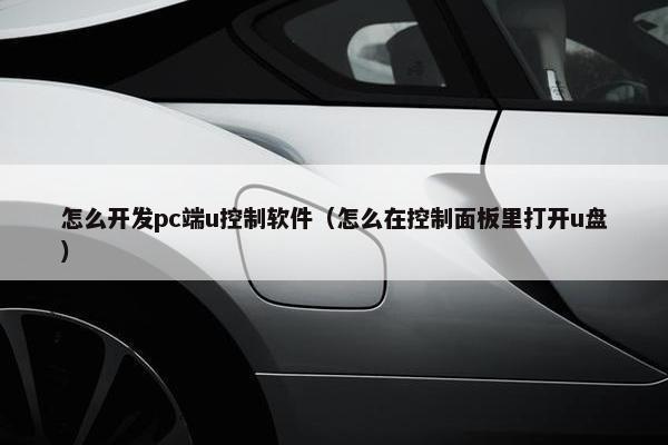 怎么开发pc端u控制软件（怎么在控制面板里打开u盘）