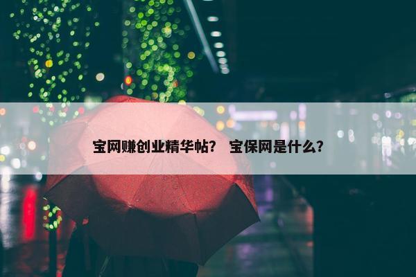 宝网赚创业精华帖？ 宝保网是什么？