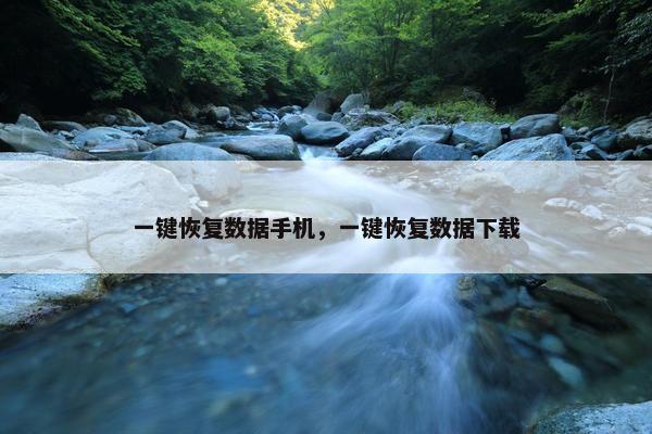 一键恢复数据手机，一键恢复数据下载