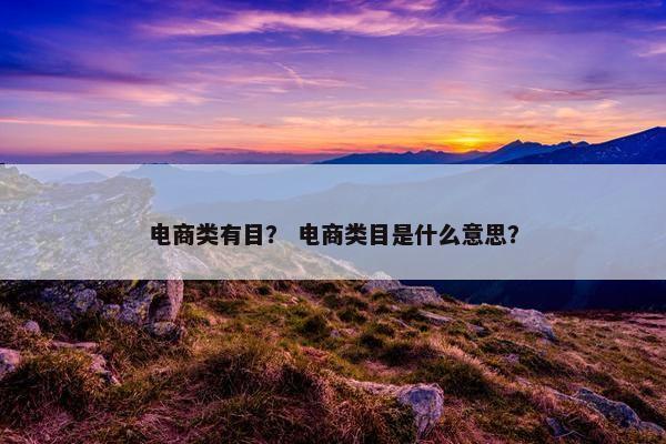 电商类有目？ 电商类目是什么意思？