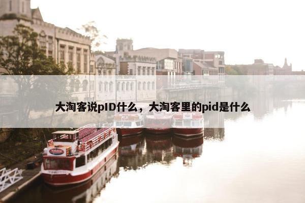 大淘客说pID什么，大淘客里的pid是什么
