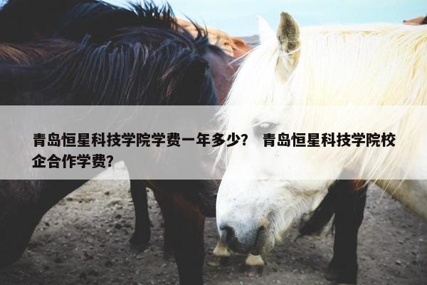 青岛恒星科技学院学费一年多少？ 青岛恒星科技学院校企合作学费？