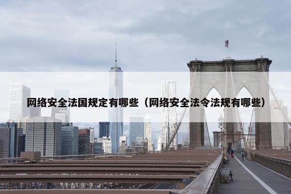 网络安全法国规定有哪些（网络安全法令法规有哪些）