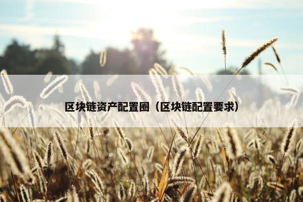 区块链资产配置圈（区块链配置要求）