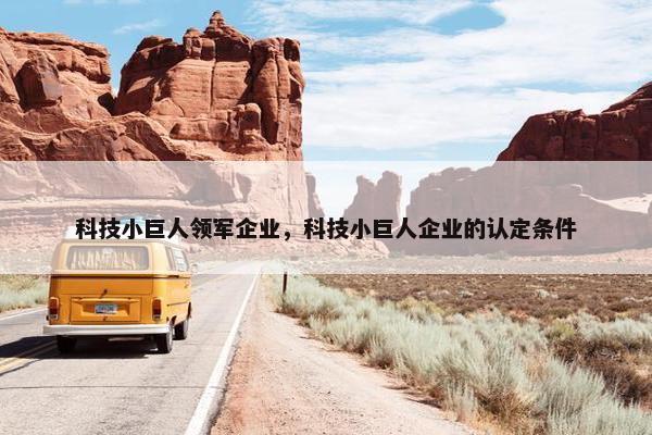 科技小巨人领军企业，科技小巨人企业的认定条件