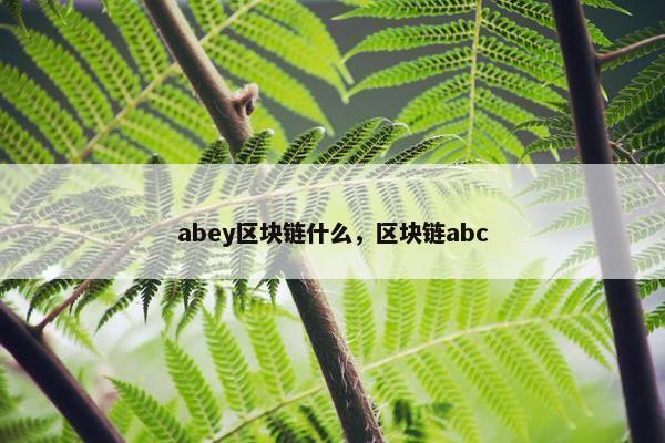 abey区块链什么，区块链abc