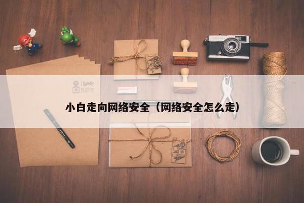 小白走向网络安全（网络安全怎么走）